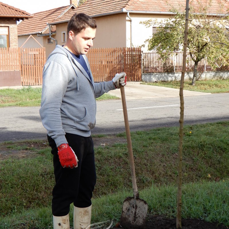 Közösségi faültetés Berettyóújfaluban 70